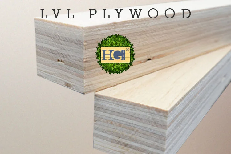 LVL Plywood
