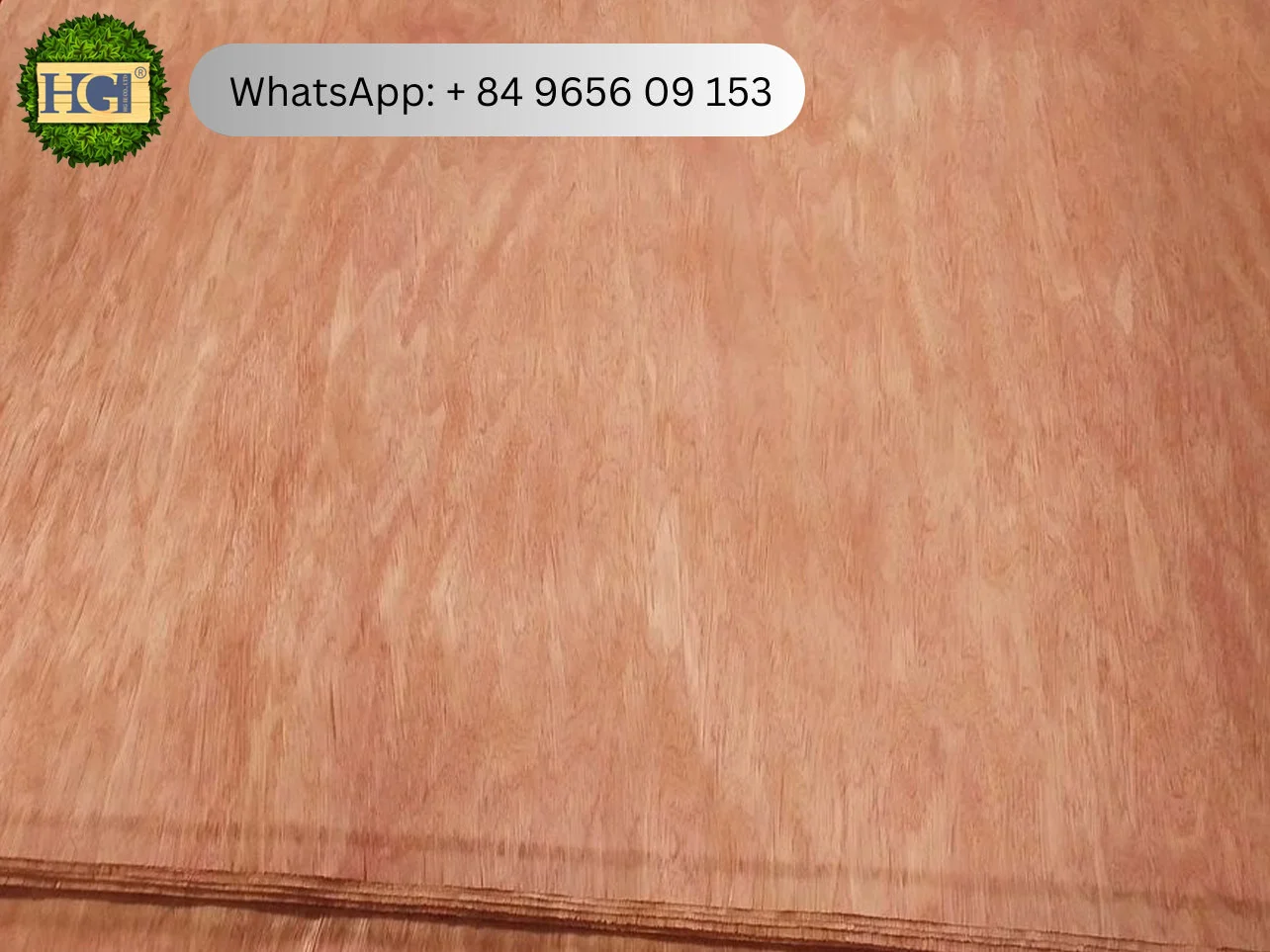 bintangor face veneer