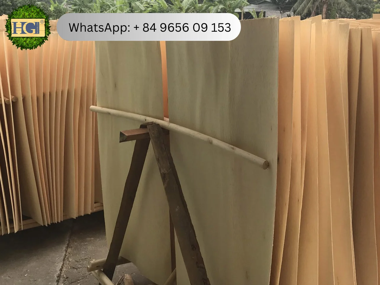 core veneer sunny.webp