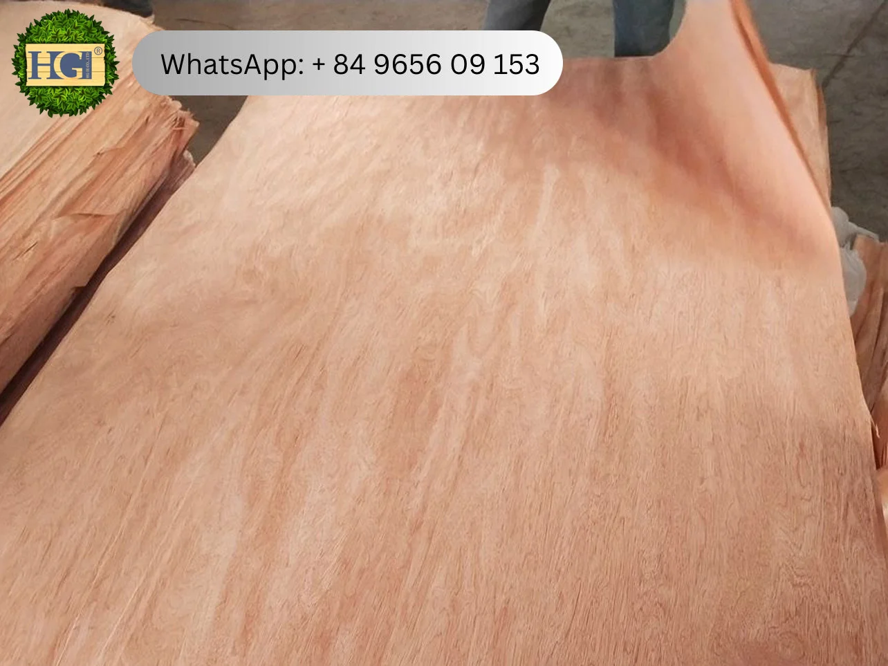 face veneer bintangor supplier